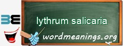 WordMeaning blackboard for lythrum salicaria